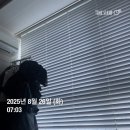(주)크리에이티브 소프트 | [week 1] 미래내일일경험x면접왕이형 필살기 메이킹 프로젝트 첫째주 기록(feat.팀워크)