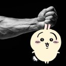 어서오시개 | 어서오시개,