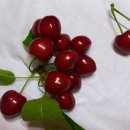 초이농장 이미지