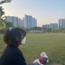 스테이42 | 푸른달의 일상기록⭐