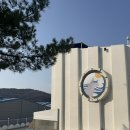 못된강아지(뽑기놀이터) | 대전 근교 논산 애견동반 숙소 프리독펜션 개별놀이터 수영장 후기