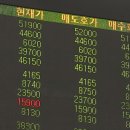 영바이오텍 이미지