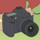 공지로 4R | W.가성비 어두운 홀 본식스냅 업체선정 깔끔 자연스러운 화이트톤 가격 추천 리스트