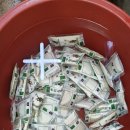 민물건강원 이미지