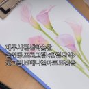 기초 보태니컬아트 기법 이미지