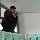 조성은 페이스북 카카오 검색결과