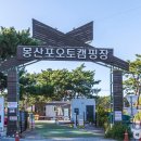 몽산포힐링캠핑장 이미지