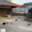 남해촌캉스 이미지