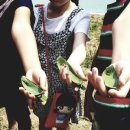 동평초등학교 이미지