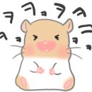 백화세탁소 이미지