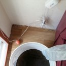 불갑보건지소 이미지