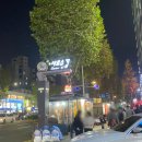 밑반찬&안주요리 | 샤로수길 술집 &#34;한사발포차&#34;서울대입구점 안주 맛집 후기