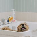 웰컴스테이A 이미지