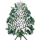 수원-0732 이미지