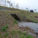 북천생태공원 이미지