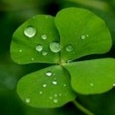 선도전기 이미지