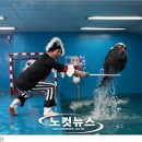 씨월드수족관 이미지