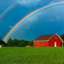 장위뉴타운공인중개사사무소 | [장위뉴타운을 소개합니다] 세대수 규모 추진사항