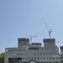 아이조은태권도 이미지