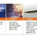 풍천장어나라 이미지