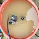 수도마을회관 이미지