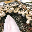 장어의 꿈 이미지