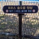 솔오름전망대 네이버블로그