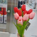 아프리카커피초콜릿수송점 이미지