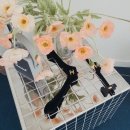 스튜디오머머링