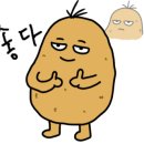 라온스시