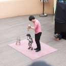 시를 쓰는 오리 이미지