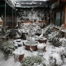 야촌원두막 이미지