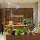 반려식물 테라리움 만들기 이미지