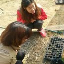 광동리마을회관 이미지