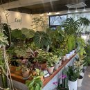 결운로_1 이미지