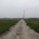 덕진-118 이미지