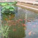 인삼랜드휴게소 이미지