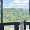 이산찰누룽지닭백숙&부대찌개 | 안양 쫀득한 누룽지와 부드러운 닭고기가 일품인 닭백숙 맛집 이산찰누룽지닭백숙부대찌개