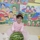 😻아람반🎳수박볼링놀이🍉 수박씨붙이기 이미지