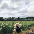 포포 스테이 | 봄여름에 추천하는 10-20만원대 국내 가성비 감성숙소 5