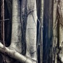 마산탑치과의원 이미지