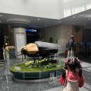 반디의꿈 | 무주 아기랑 체험 반디랜드 곤충박물관 수족관 볼거리 반딧불이