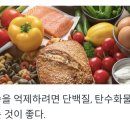 오늘의단백질