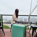 바로이게다자인