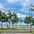 동산포 캠핑장 | 강원도 양양 여름 바다캠핑 해수욕장이 바로 앞인 동산포 캠핑장