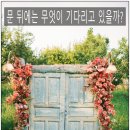 파코통상 | 파인더드림 챌린지 6회자