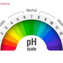 산성식품 이미지