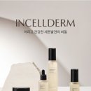 인셀덤 네이버블로그