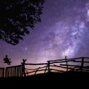 보너스공인중개사사무소 이미지