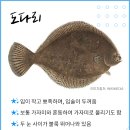 술상횟집 - 진주시 도동천로 136-6 | 술상횟집